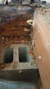 Ann Arbor Hardwood Floors Rotted Joist